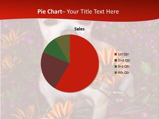 Penny In Flowers PowerPoint Template