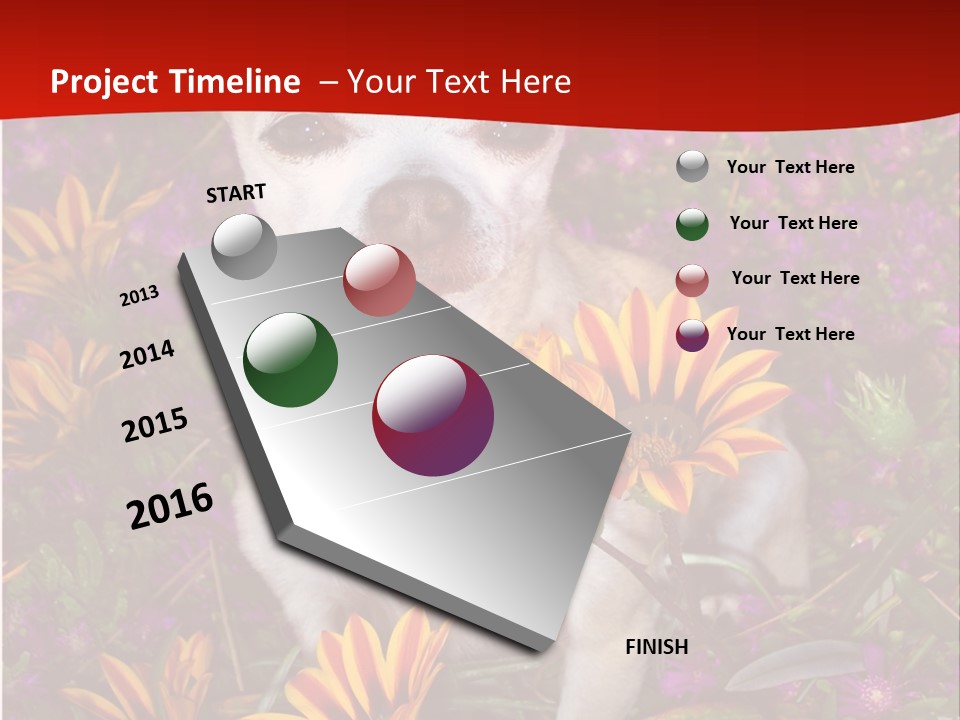 Penny In Flowers PowerPoint Template