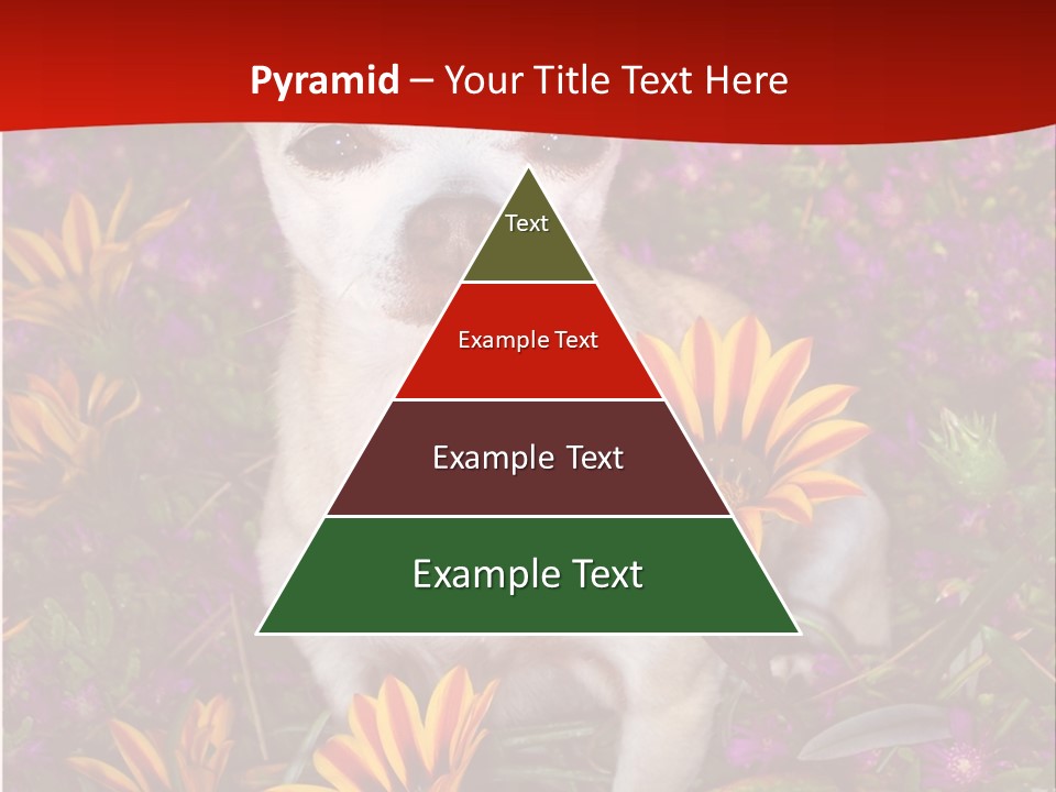 Penny In Flowers PowerPoint Template