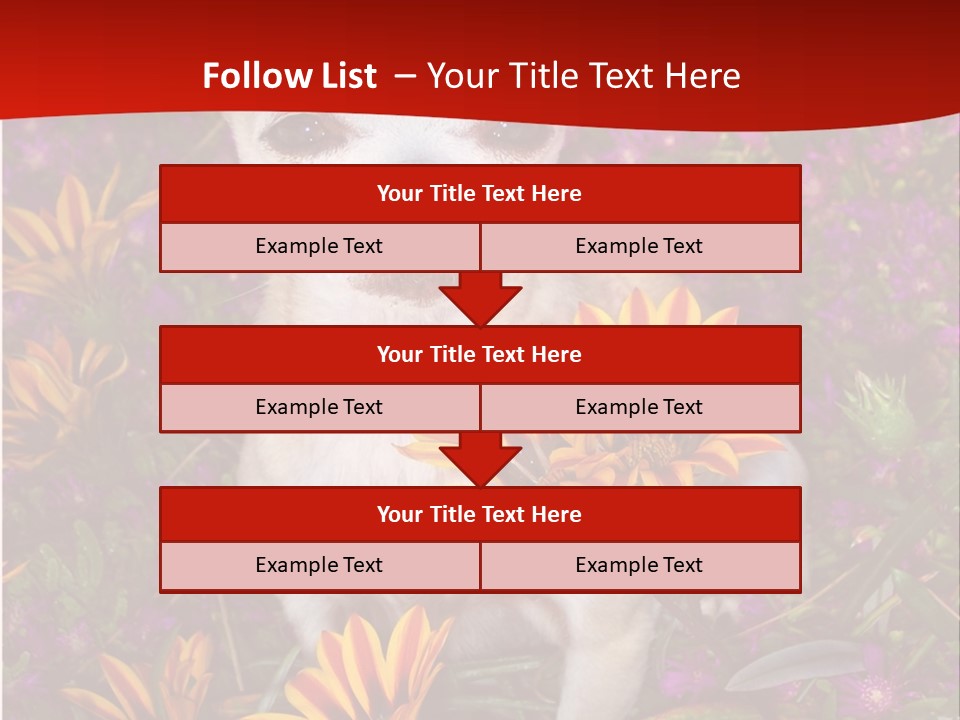 Penny In Flowers PowerPoint Template