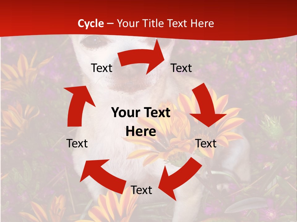 Penny In Flowers PowerPoint Template