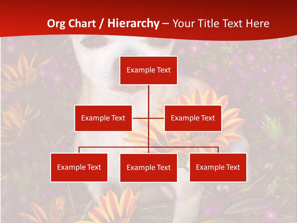 Penny In Flowers PowerPoint Template