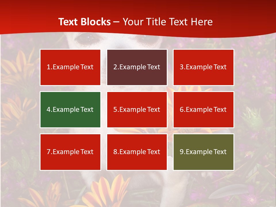 Penny In Flowers PowerPoint Template