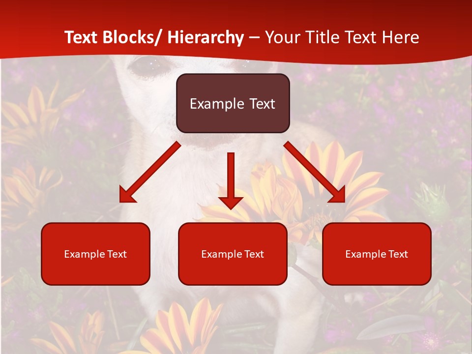 Penny In Flowers PowerPoint Template