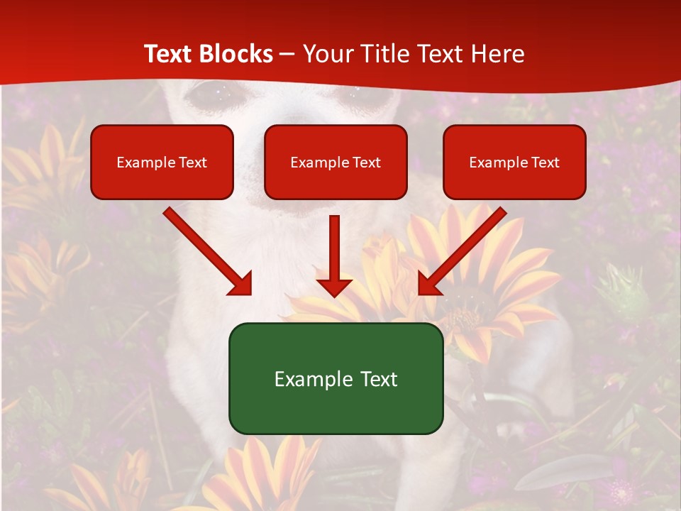 Penny In Flowers PowerPoint Template