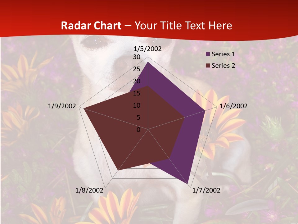 Penny In Flowers PowerPoint Template