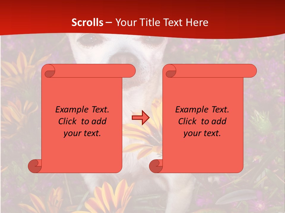 Penny In Flowers PowerPoint Template