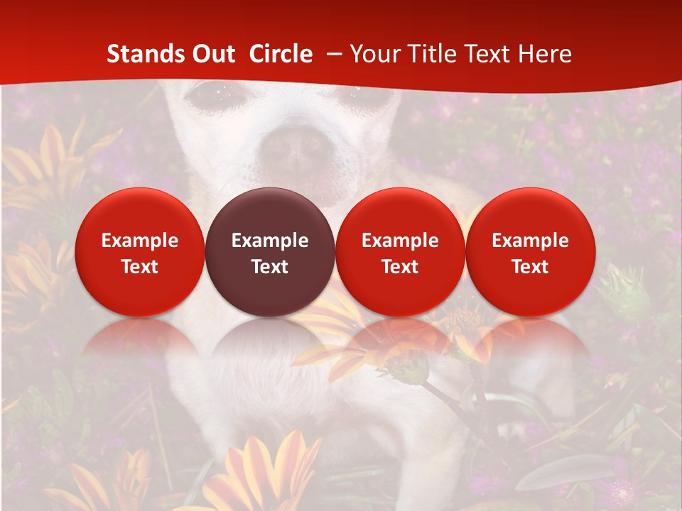 Penny In Flowers PowerPoint Template