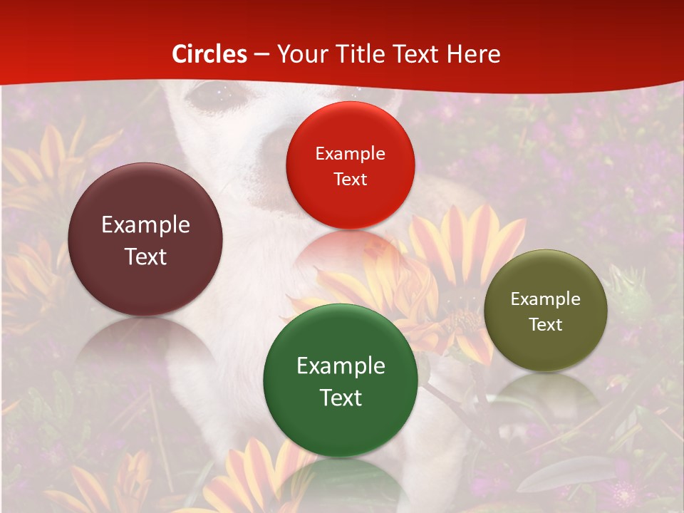 Penny In Flowers PowerPoint Template