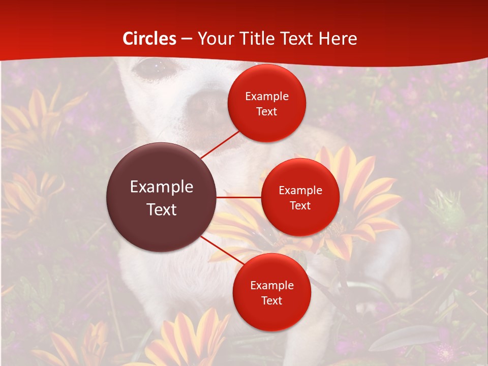 Penny In Flowers PowerPoint Template