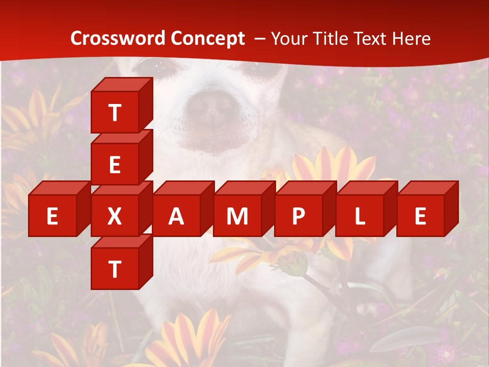 Penny In Flowers PowerPoint Template