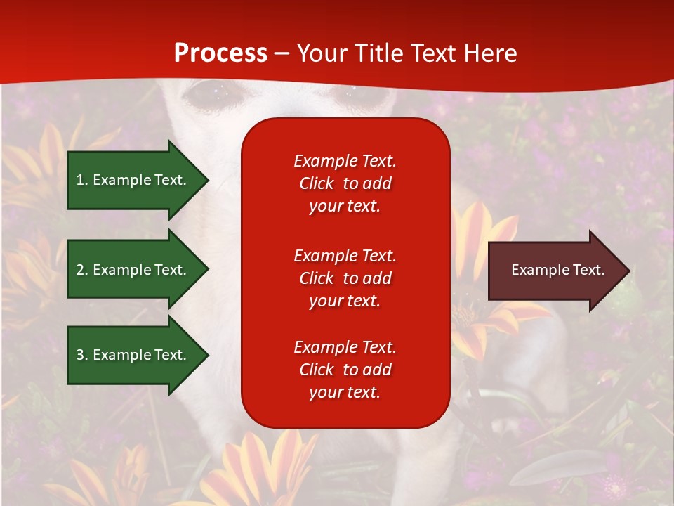 Penny In Flowers PowerPoint Template