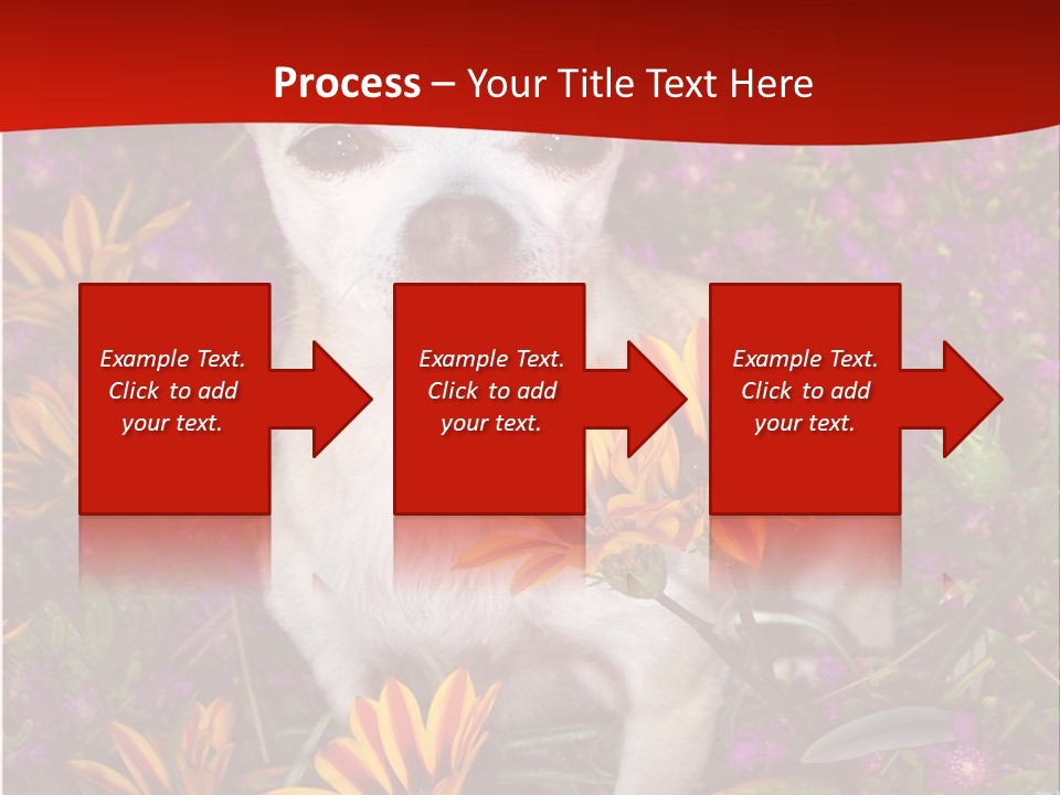 Penny In Flowers PowerPoint Template