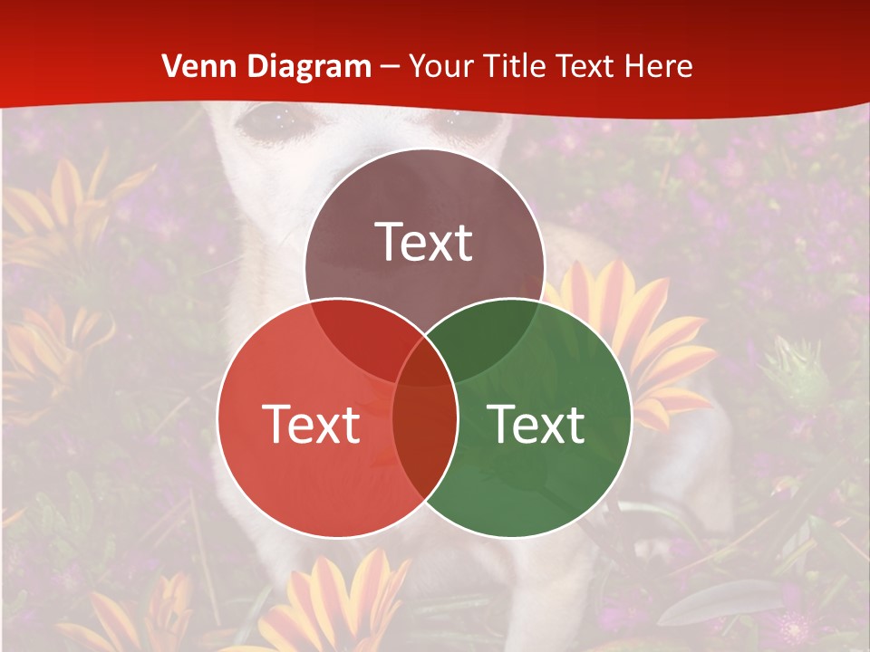 Penny In Flowers PowerPoint Template