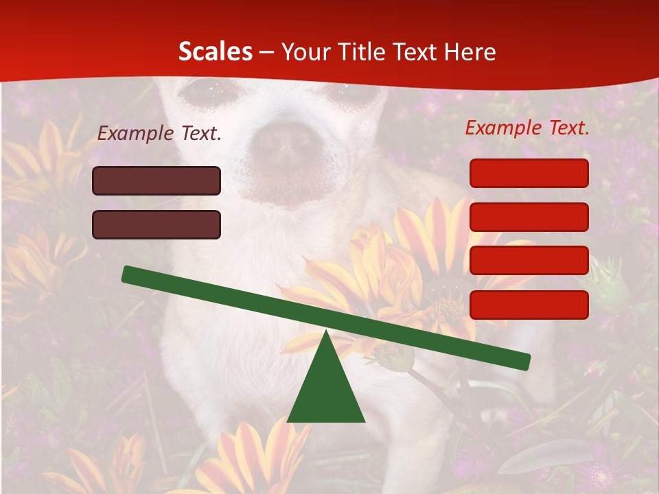 Penny In Flowers PowerPoint Template