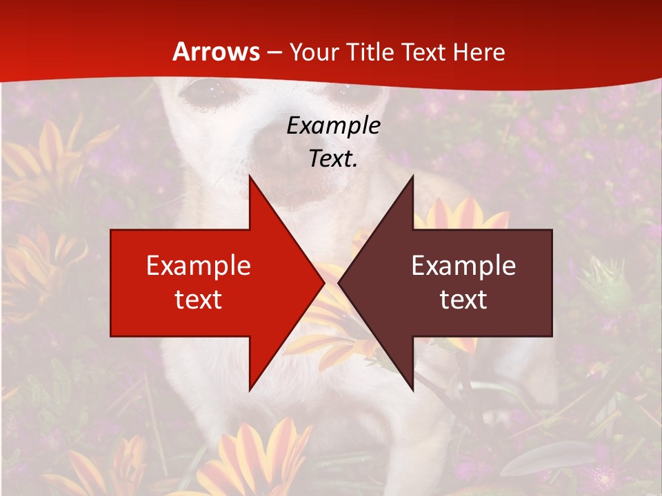 Penny In Flowers PowerPoint Template