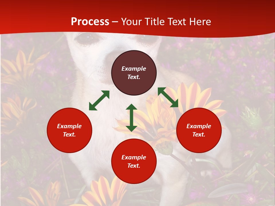 Penny In Flowers PowerPoint Template