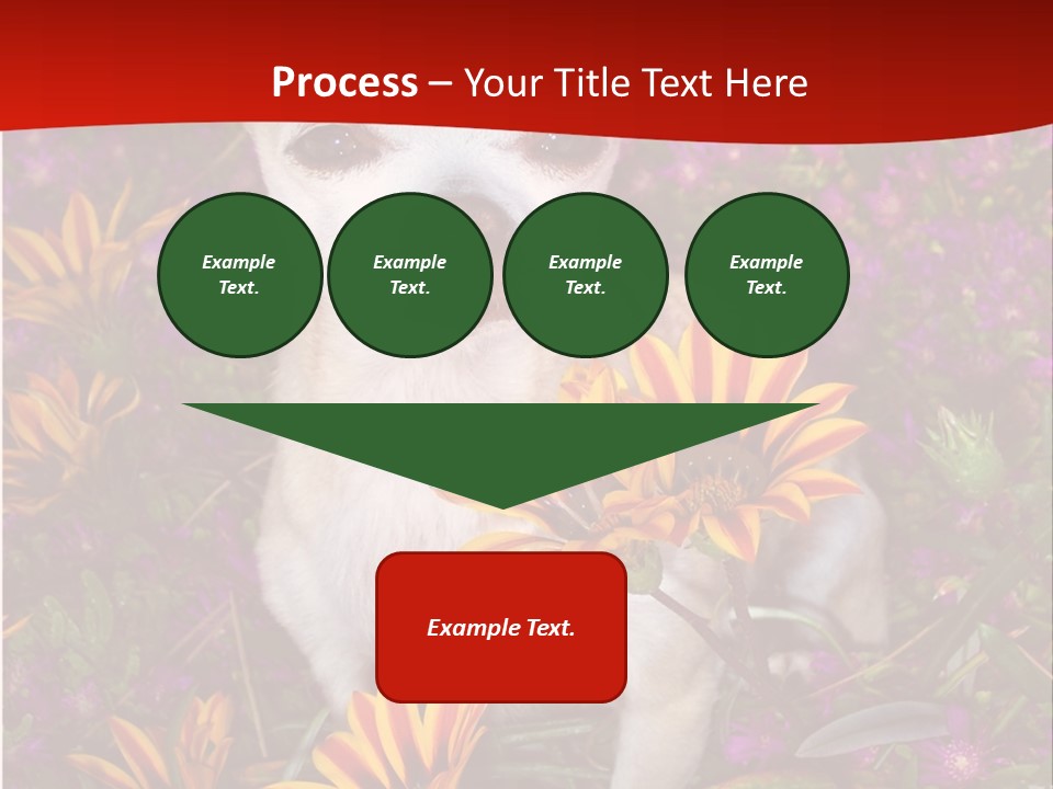 Penny In Flowers PowerPoint Template