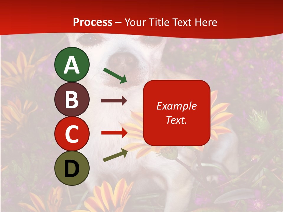 Penny In Flowers PowerPoint Template