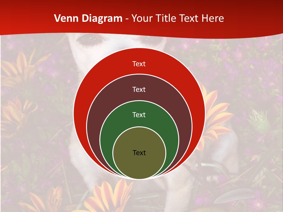 Penny In Flowers PowerPoint Template