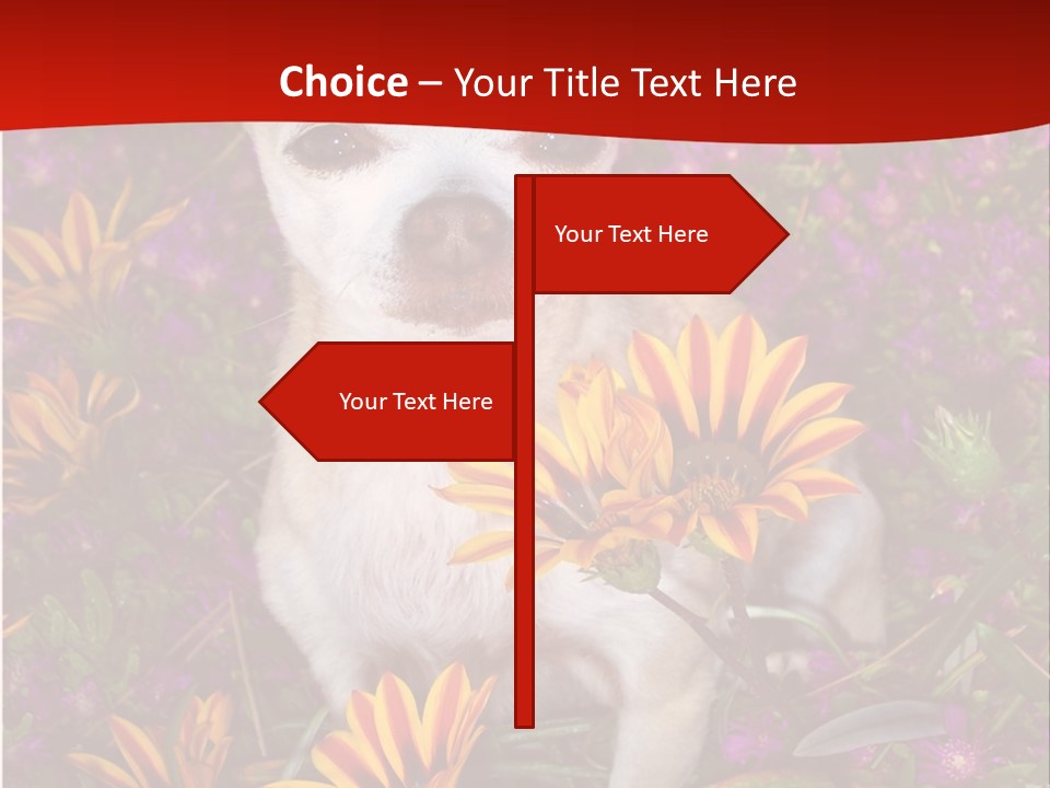 Penny In Flowers PowerPoint Template