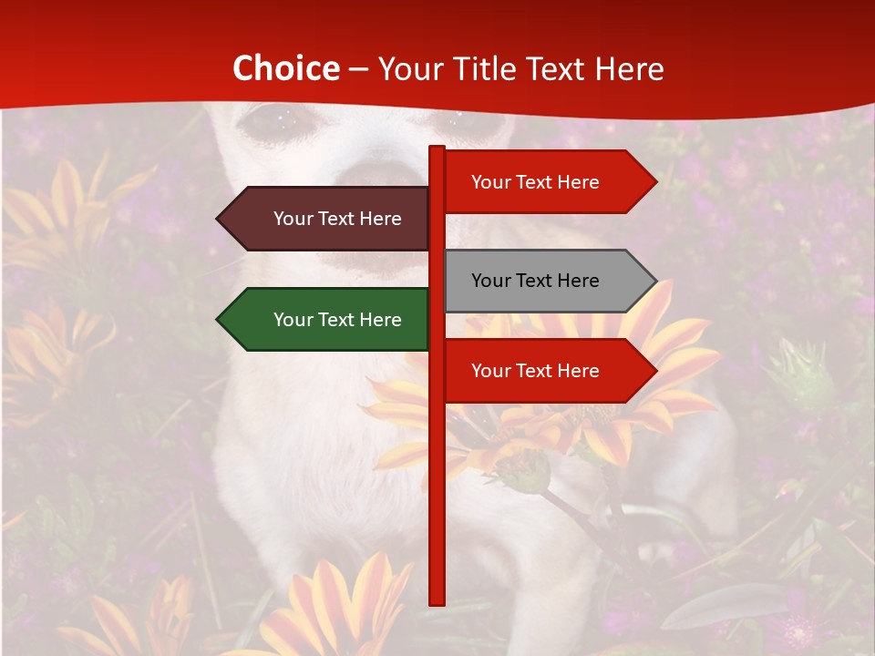 Penny In Flowers PowerPoint Template