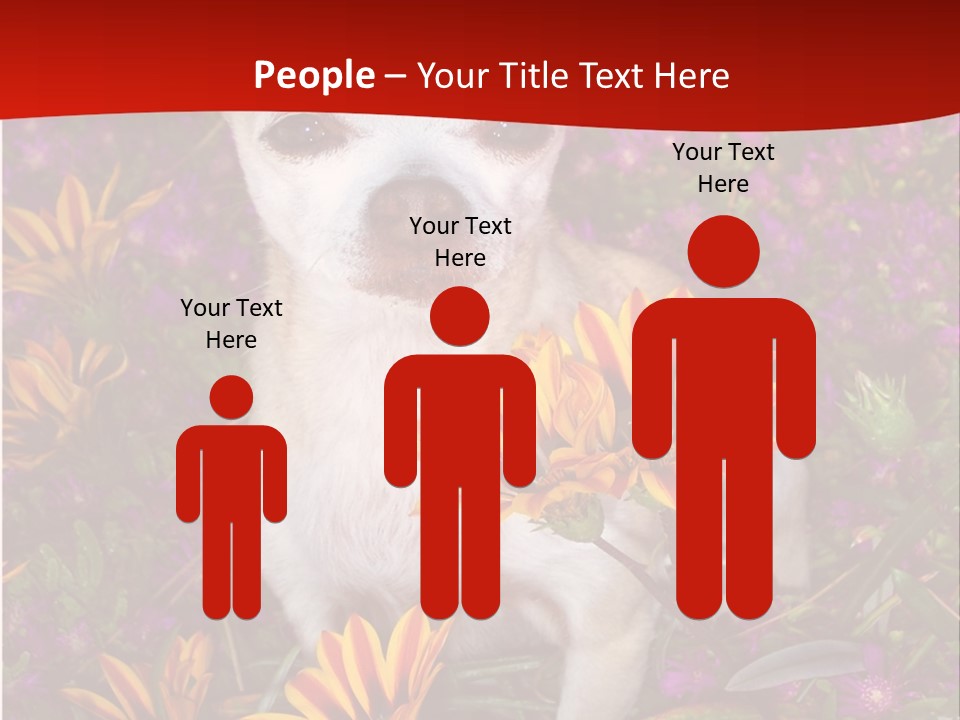 Penny In Flowers PowerPoint Template