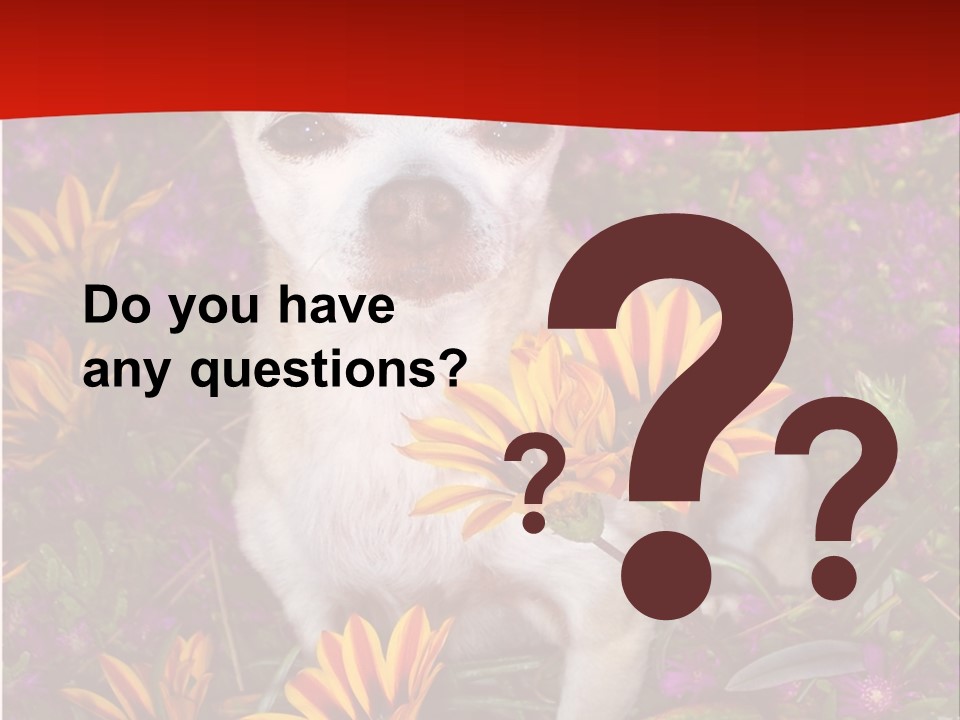 Penny In Flowers PowerPoint Template