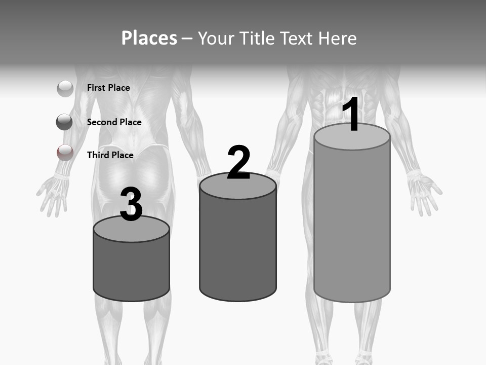 Male Muscles - Pencil Drawing Style - 3D Render - Special Shaders Were Used During The Rendering Process To Create The Appearance Of A Pencil Drawing. PowerPoint Template