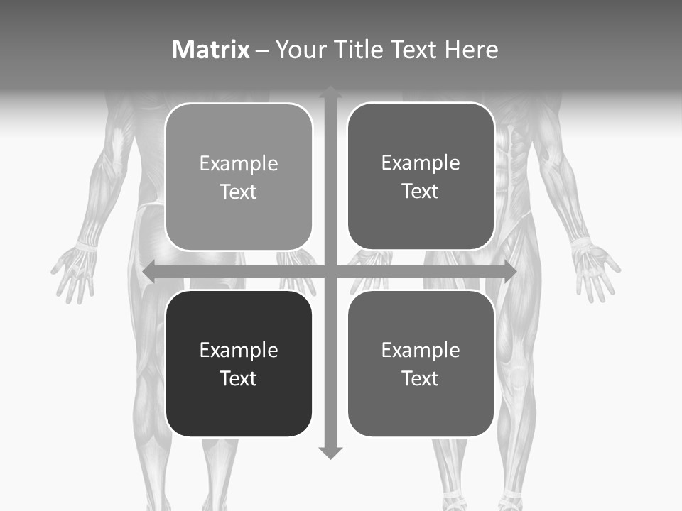 Male Muscles - Pencil Drawing Style - 3D Render - Special Shaders Were Used During The Rendering Process To Create The Appearance Of A Pencil Drawing. PowerPoint Template