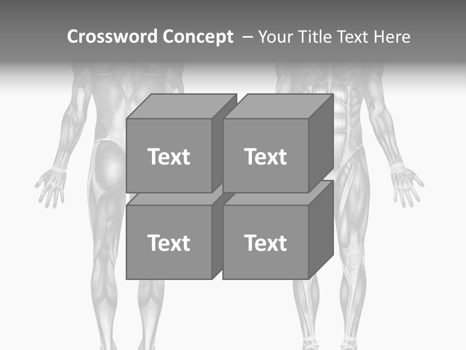 Male Muscles - Pencil Drawing Style - 3D Render - Special Shaders Were Used During The Rendering Process To Create The Appearance Of A Pencil Drawing. PowerPoint Template