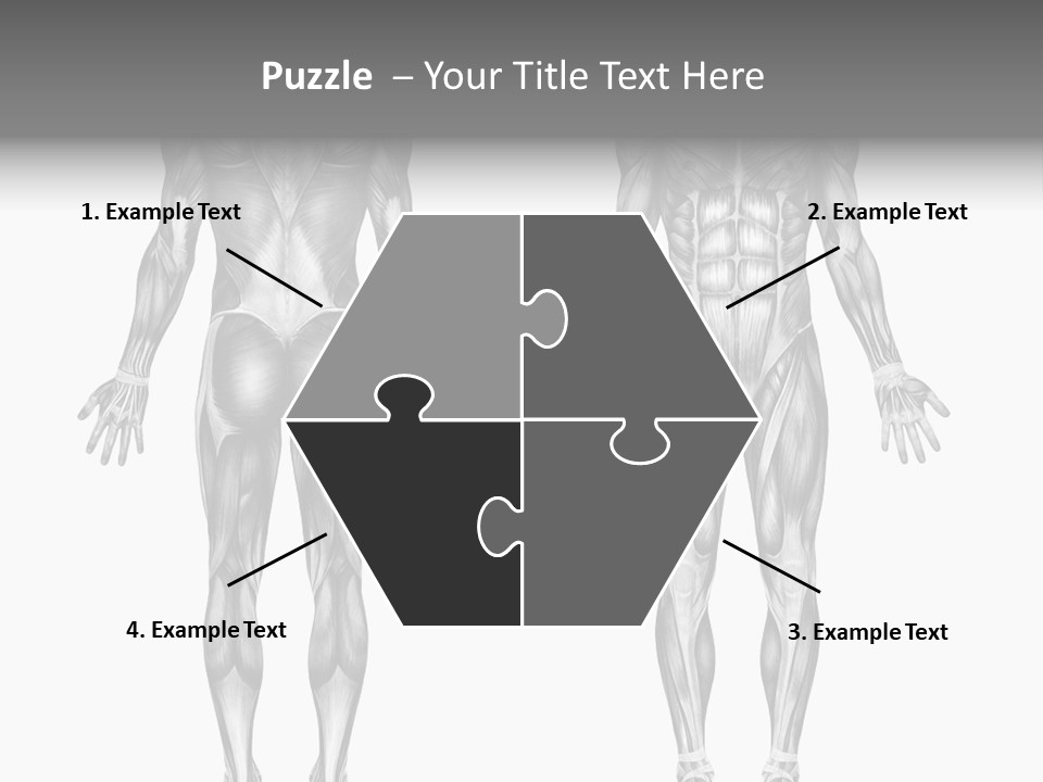 Male Muscles - Pencil Drawing Style - 3D Render - Special Shaders Were Used During The Rendering Process To Create The Appearance Of A Pencil Drawing. PowerPoint Template
