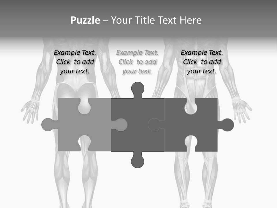 Male Muscles - Pencil Drawing Style - 3D Render - Special Shaders Were Used During The Rendering Process To Create The Appearance Of A Pencil Drawing. PowerPoint Template