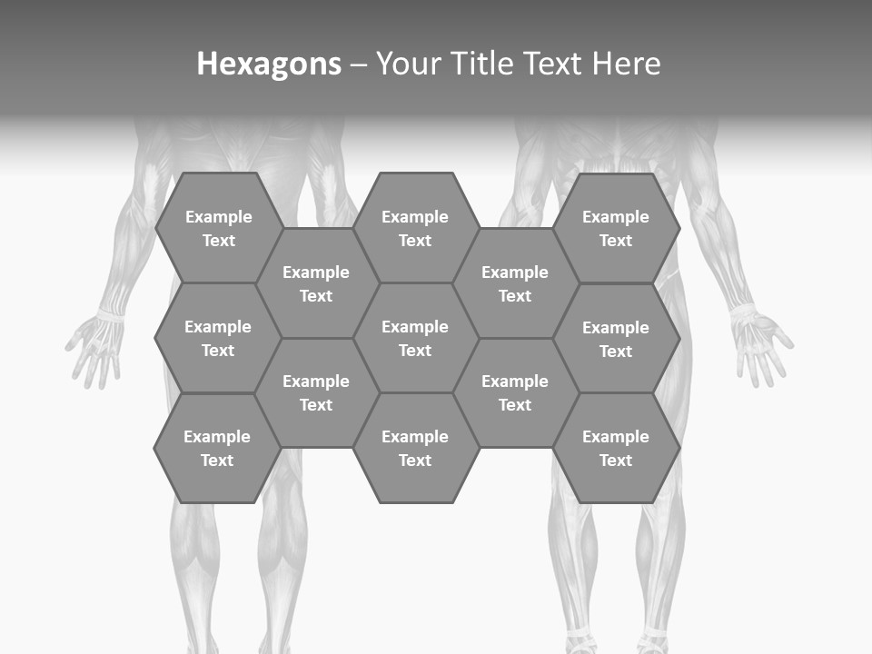 Male Muscles - Pencil Drawing Style - 3D Render - Special Shaders Were Used During The Rendering Process To Create The Appearance Of A Pencil Drawing. PowerPoint Template