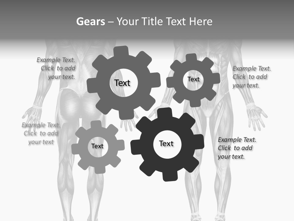 Male Muscles - Pencil Drawing Style - 3D Render - Special Shaders Were Used During The Rendering Process To Create The Appearance Of A Pencil Drawing. PowerPoint Template