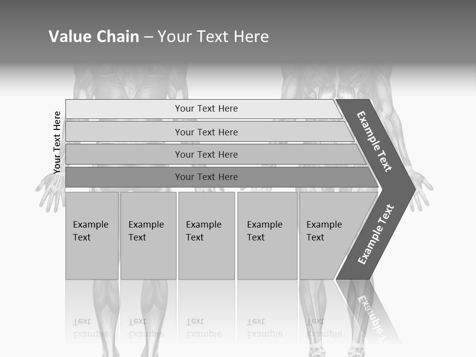 Male Muscles - Pencil Drawing Style - 3D Render - Special Shaders Were Used During The Rendering Process To Create The Appearance Of A Pencil Drawing. PowerPoint Template