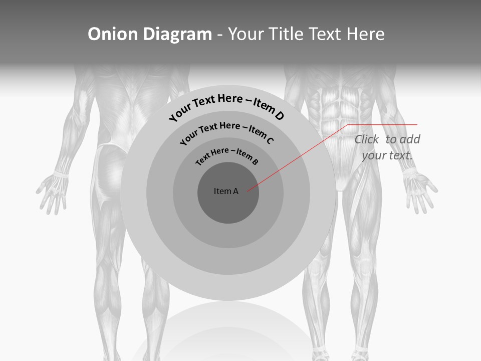 Male Muscles - Pencil Drawing Style - 3D Render - Special Shaders Were Used During The Rendering Process To Create The Appearance Of A Pencil Drawing. PowerPoint Template