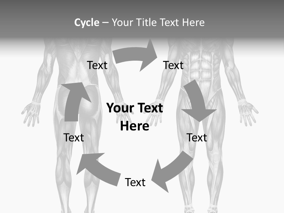 Male Muscles - Pencil Drawing Style - 3D Render - Special Shaders Were Used During The Rendering Process To Create The Appearance Of A Pencil Drawing. PowerPoint Template