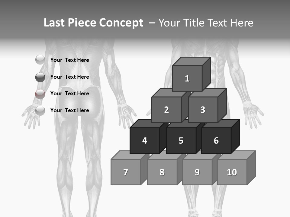 Male Muscles - Pencil Drawing Style - 3D Render - Special Shaders Were Used During The Rendering Process To Create The Appearance Of A Pencil Drawing. PowerPoint Template