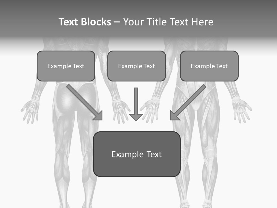Male Muscles - Pencil Drawing Style - 3D Render - Special Shaders Were Used During The Rendering Process To Create The Appearance Of A Pencil Drawing. PowerPoint Template