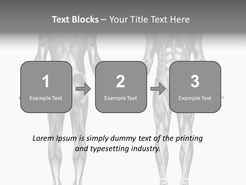 Male Muscles - Pencil Drawing Style - 3D Render - Special Shaders Were Used During The Rendering Process To Create The Appearance Of A Pencil Drawing. PowerPoint Template