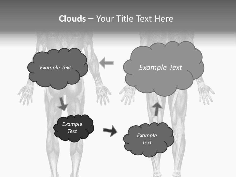 Male Muscles - Pencil Drawing Style - 3D Render - Special Shaders Were Used During The Rendering Process To Create The Appearance Of A Pencil Drawing. PowerPoint Template