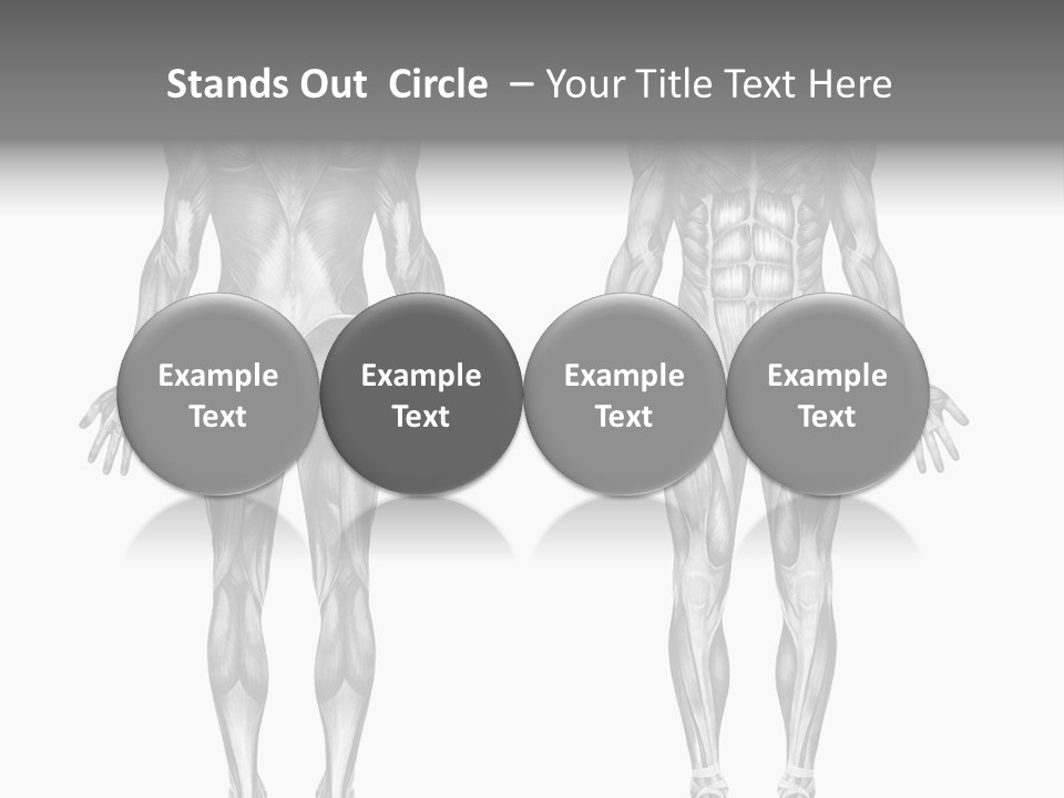 Male Muscles - Pencil Drawing Style - 3D Render - Special Shaders Were Used During The Rendering Process To Create The Appearance Of A Pencil Drawing. PowerPoint Template