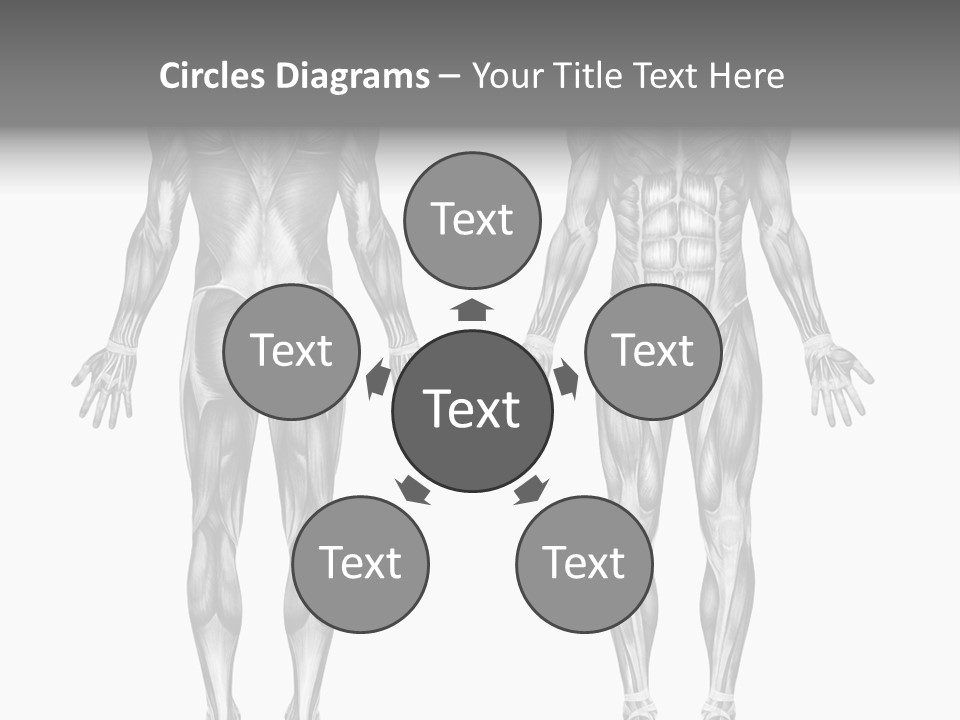 Male Muscles - Pencil Drawing Style - 3D Render - Special Shaders Were Used During The Rendering Process To Create The Appearance Of A Pencil Drawing. PowerPoint Template