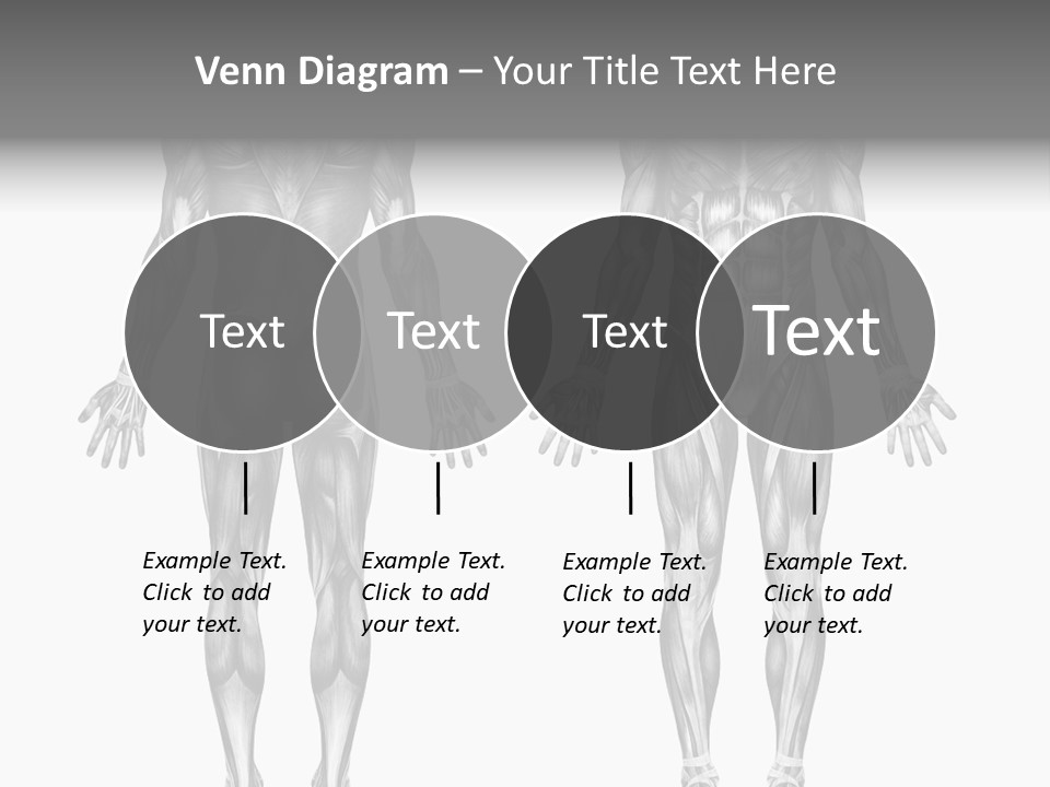 Male Muscles - Pencil Drawing Style - 3D Render - Special Shaders Were Used During The Rendering Process To Create The Appearance Of A Pencil Drawing. PowerPoint Template