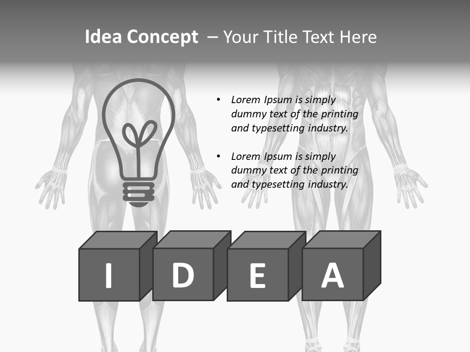 Male Muscles - Pencil Drawing Style - 3D Render - Special Shaders Were Used During The Rendering Process To Create The Appearance Of A Pencil Drawing. PowerPoint Template