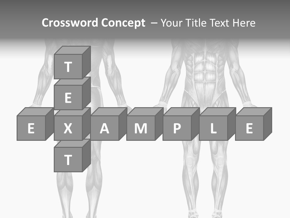 Male Muscles - Pencil Drawing Style - 3D Render - Special Shaders Were Used During The Rendering Process To Create The Appearance Of A Pencil Drawing. PowerPoint Template