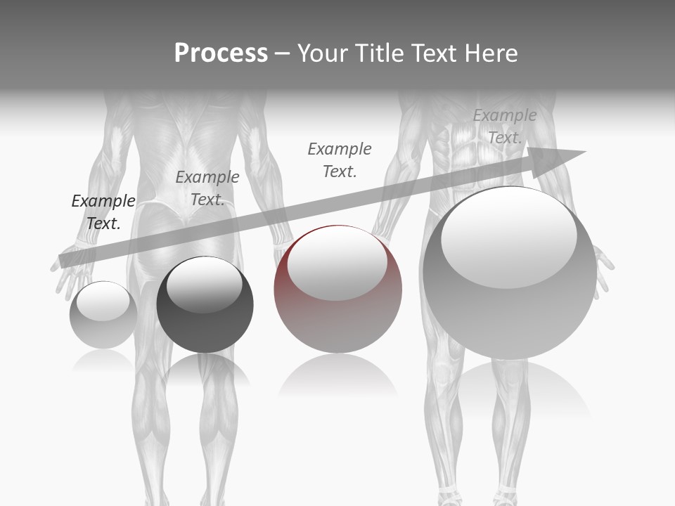 Male Muscles - Pencil Drawing Style - 3D Render - Special Shaders Were Used During The Rendering Process To Create The Appearance Of A Pencil Drawing. PowerPoint Template