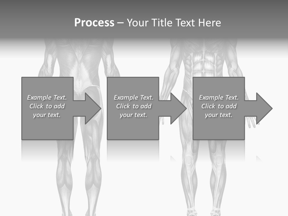 Male Muscles - Pencil Drawing Style - 3D Render - Special Shaders Were Used During The Rendering Process To Create The Appearance Of A Pencil Drawing. PowerPoint Template