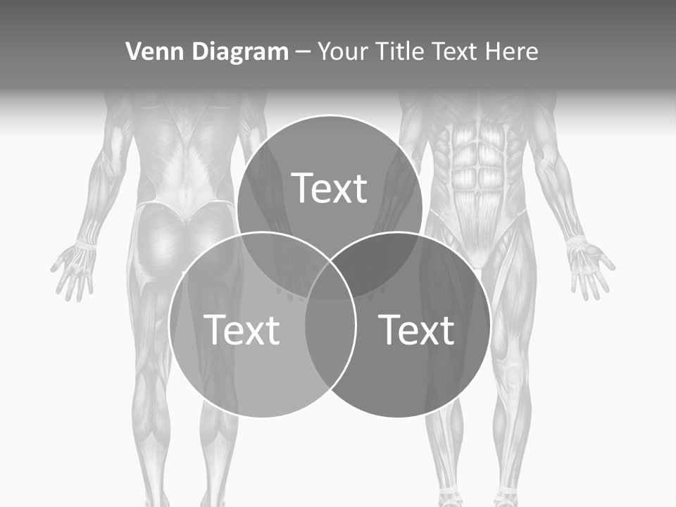 Male Muscles - Pencil Drawing Style - 3D Render - Special Shaders Were Used During The Rendering Process To Create The Appearance Of A Pencil Drawing. PowerPoint Template